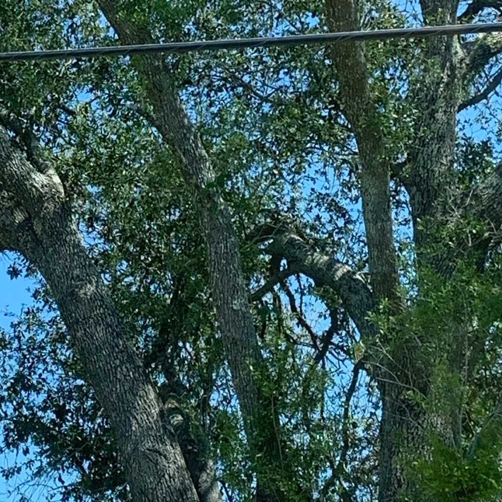 Meet your Posher, Maggie